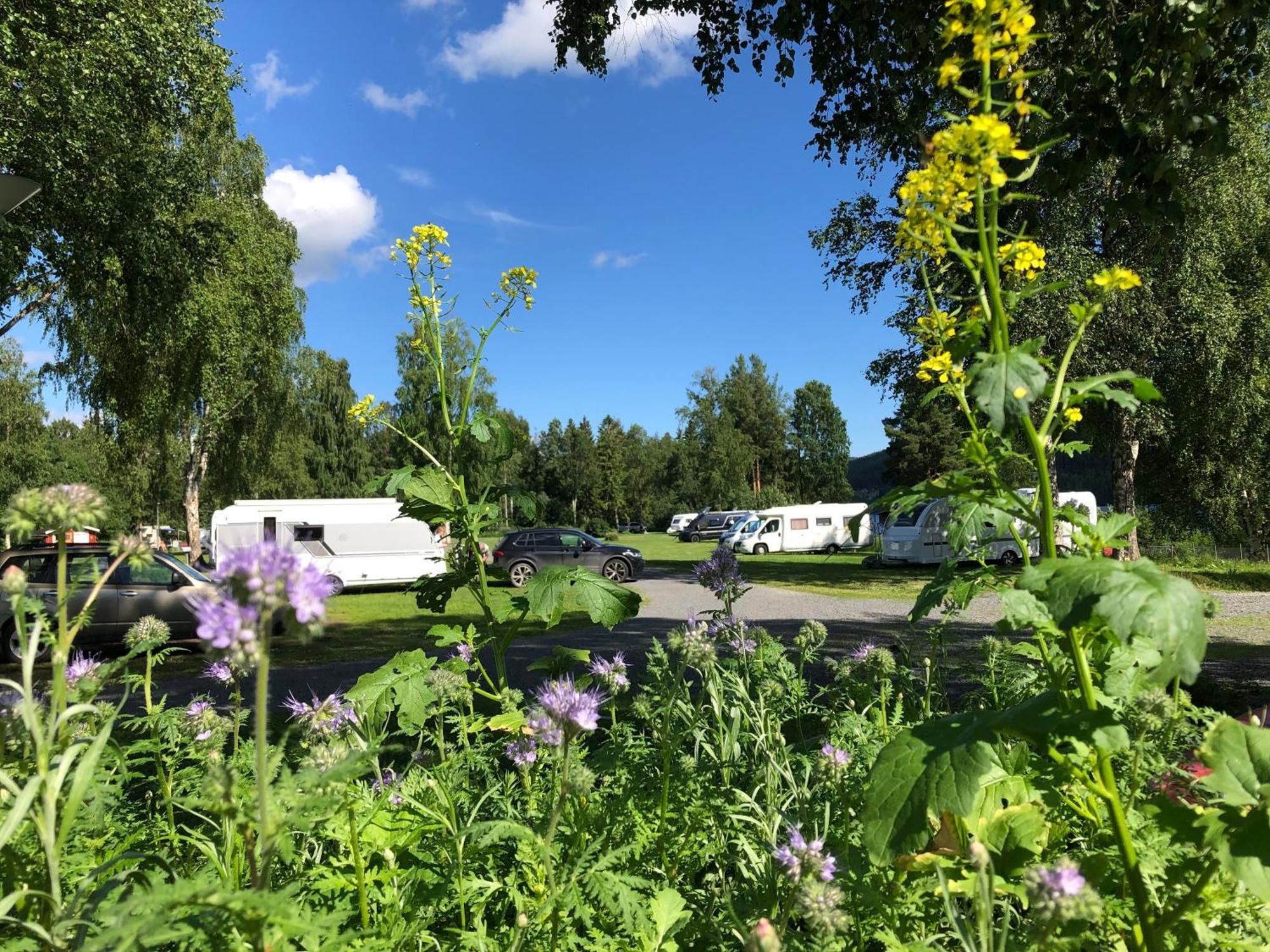 4 Persoons Stuga Hammarstrand Экстерьер фото