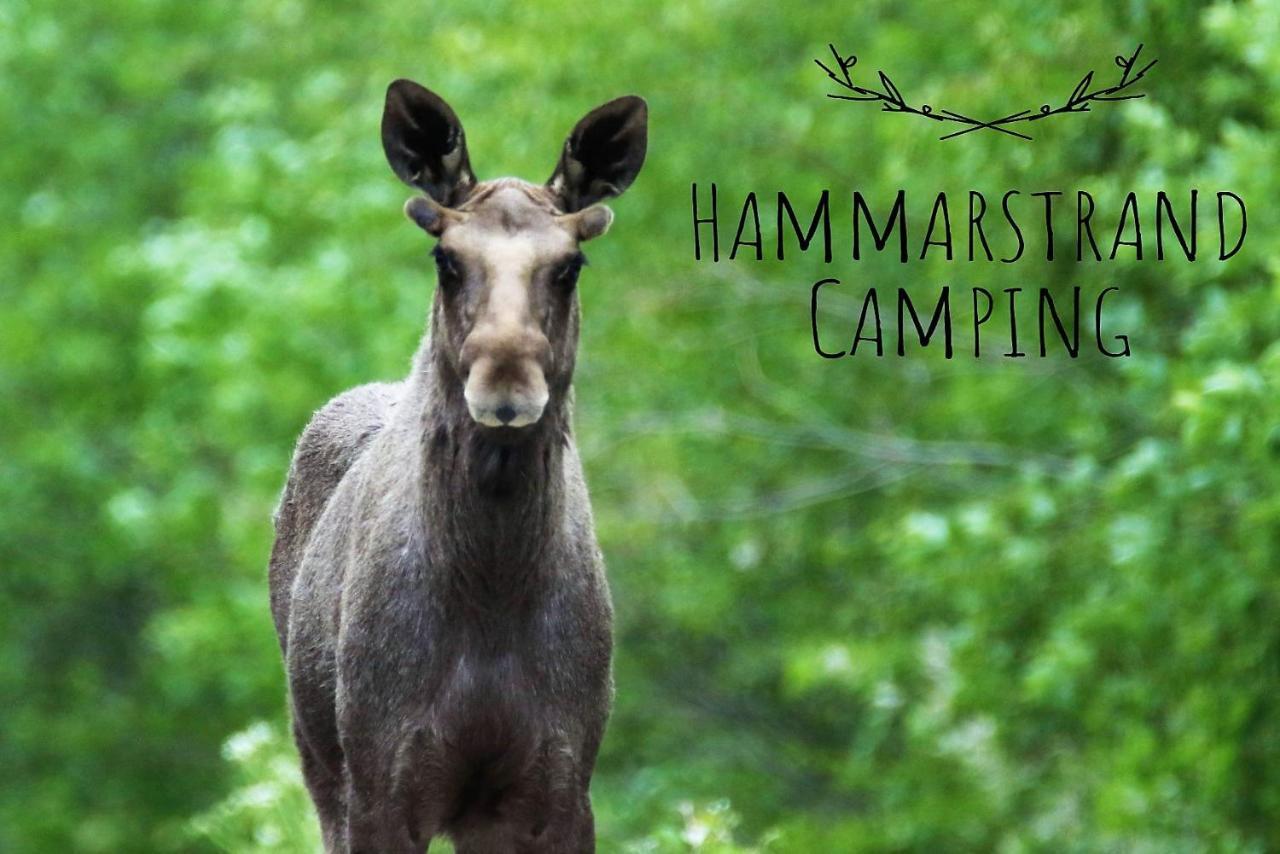 4 Persoons Stuga Hammarstrand Экстерьер фото